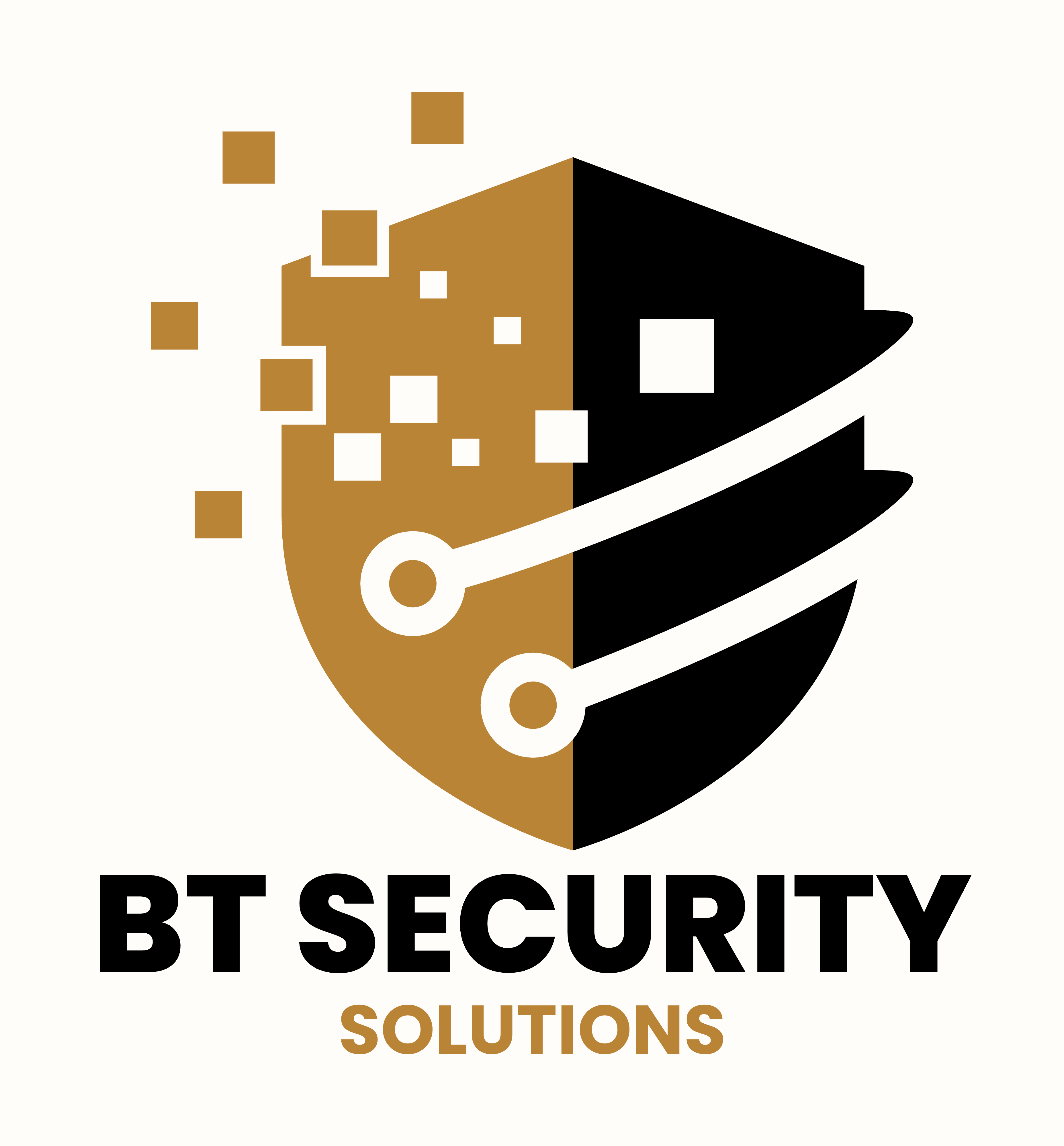 BT Security Solutions 